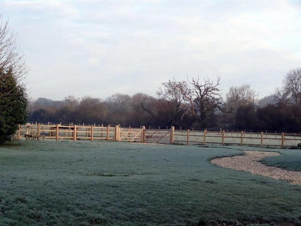 Bed and Breakfast Huxham Farmhouse East Pennard Exteriér fotografie